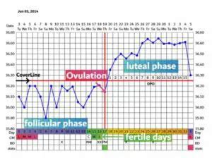 Anestezic pod partid democratic basal body temperature chart constant ...