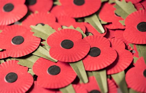 Royal British Legion reveals plastic-free poppy design