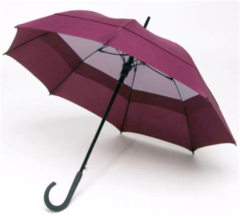 Windbrella Fashion Umbrella | Auto-Open Umbrella | J-Handle