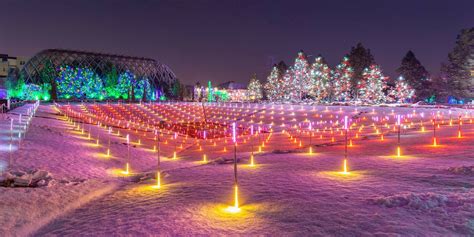 Denver Botanic Gardens Blossoms of Light | 2024-25 Nov-Jan Holiday Event