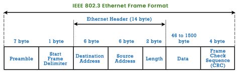 Ethernet Frame Format - javatpoint