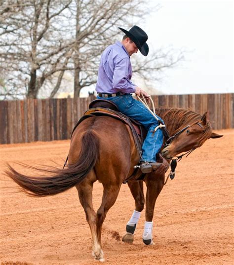 No Bucking Broncos! | Horses, Bucking bronco, Equestrian