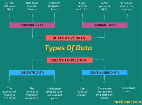 the different types of data that are available in this infographtion chart for students