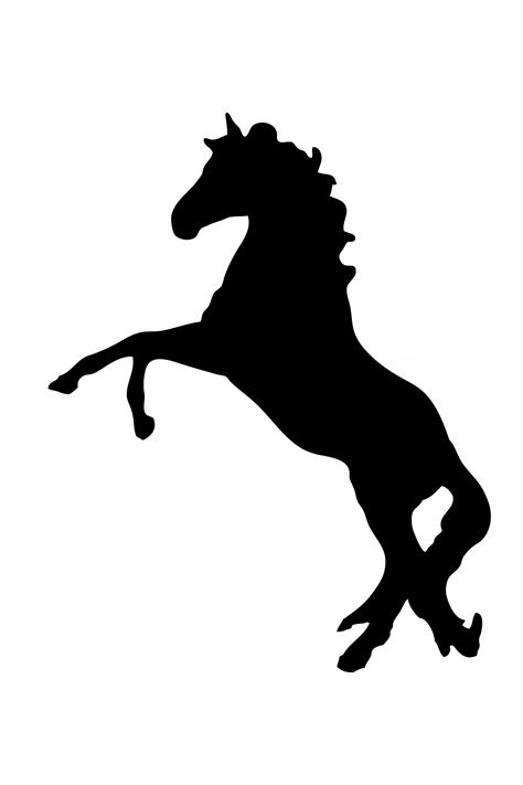 Rearing Black Horse Silhouette Free Stock Photo - Public Domain Pictures