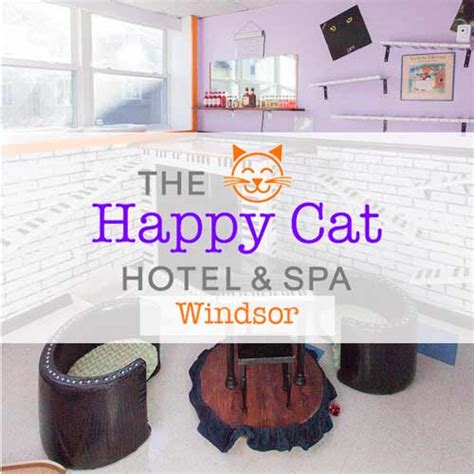 Happy Cat Hotel | Luxury Cat Boarding & Cat Grooming