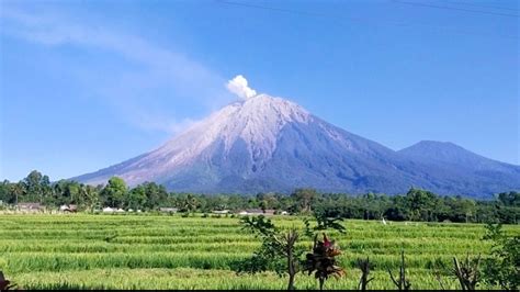 Gunung Semeru Alami 8 Kali Letusan Setinggi 1000 Meter Disertai Suara ...