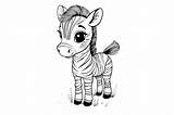 Cute Baby Zebra Coloring Page For Kids Graphic By Forhadx5 · Creative  sketch template