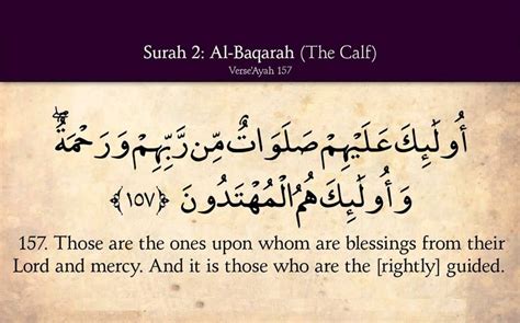 100+ Beautiful Quran Verses to Know the Blessing of Allah Upon Us