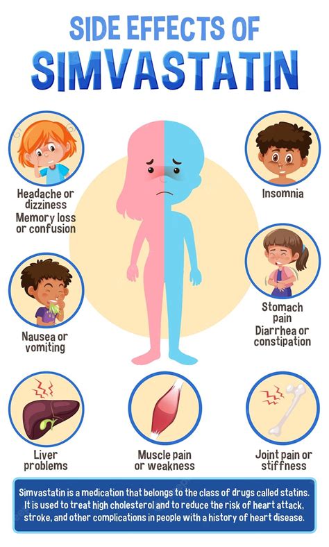 Premium Vector | Human anatomy diagram cartoon style of simvastatin side effects