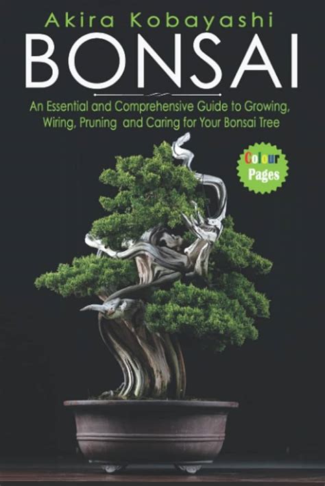 The Basics Of Bonsai Wiring: A Comprehensive Guide