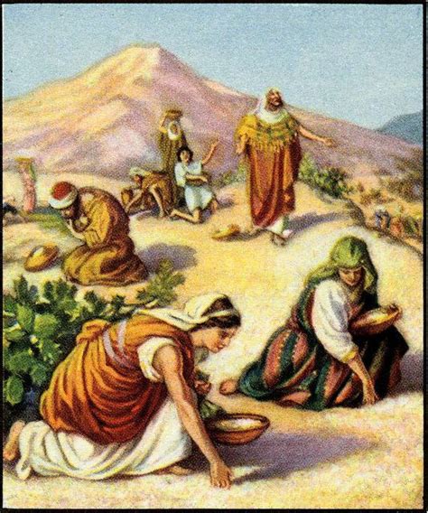 When God gave us manna in the wilderness... | Bible art, Bible study exodus, Bible