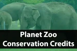 What Are Conservation Credits In Planet Zoo | Complete Guide