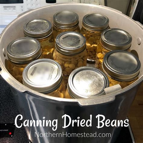 Canning Dried Beans | Dried beans, Canning, Canning recipes