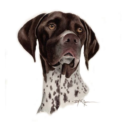 Free German Shorthaired Pointer Silhouette, Download Free German ...