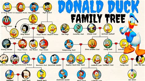 The Donald Duck's Family Tree [Duck Family] - YouTube