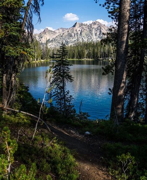 Sawtooth national forest | Sawtooth national forest, Sawtooth mountains ...