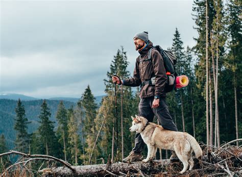 The Best Hikes To Take With Your Dog in the Great Outdoors — Eat This Not That