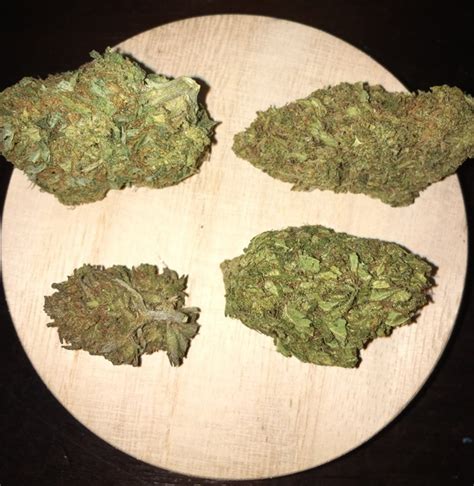 AK-47 | Marijuana Strain Reviews | AllBud