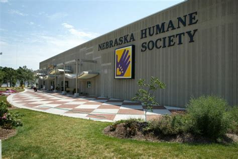 Nebraska Humane Society puts dogs, cats on sale