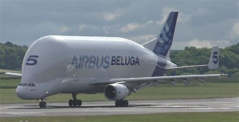 VIDEO RARE Airbus Beluga Takeoff at Prestwick Airport - AIRLIVE