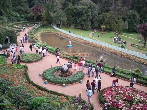 Ooty botanical garden 7