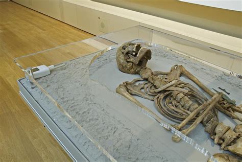 human skeletal remains | British Museum