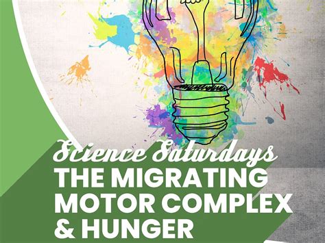 The Migrating Motor Complex (MMC) and Hunger