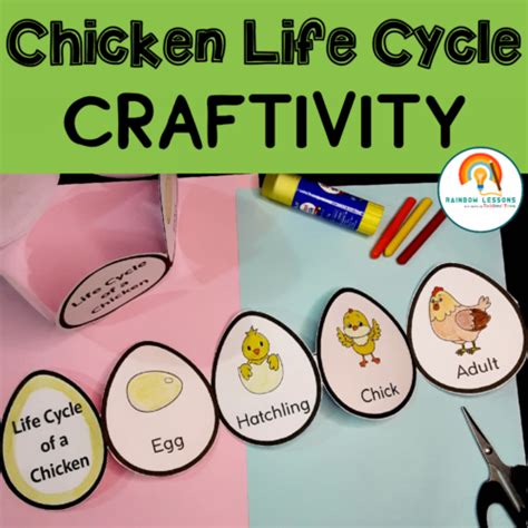 Chicken Life Cycle Craft | Life Cycle of a Chicken | Life Cycle of ...