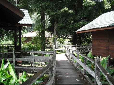 Rustic Meets Luxury at the Borneo Rainforest Lodge