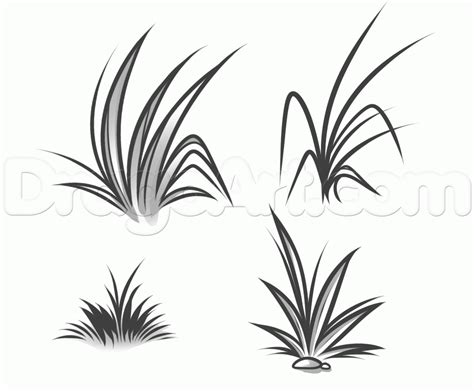 How to Draw Grass, Step by Step, Other, Landmarks & Places, FREE ...