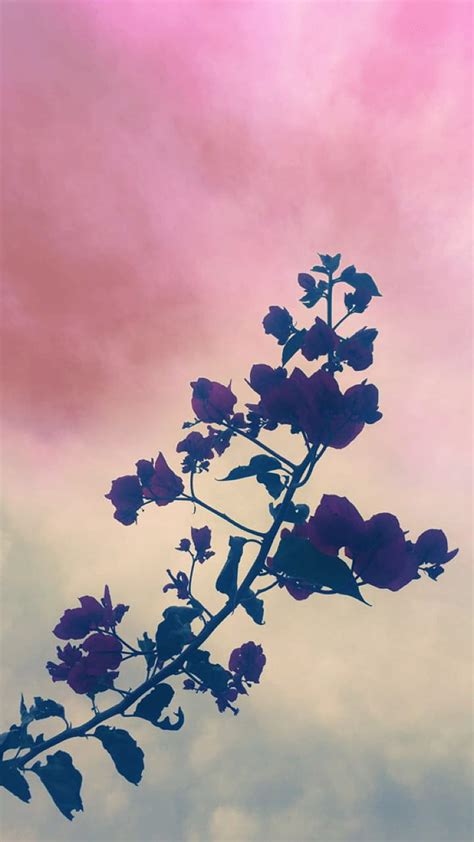 Flower, aesthetic, branch, calm, cute, nature, nice, HD phone wallpaper ...