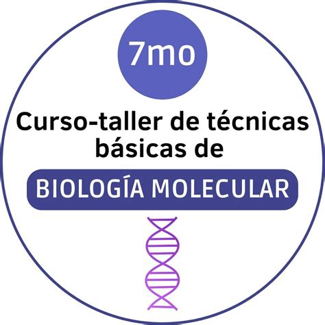 Técnicas Básicas De Biología Molecular | Puebla