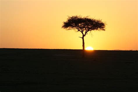 Masai Mara Sunset – Free To Use Images