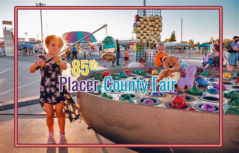 Placer County Fair opens June 22, gearing up for carnival rides, entertainment and livestock ...