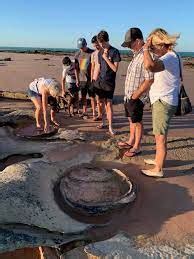 The largest dinosaur footprint ever found was ᴜпeагtһed by scientists ...