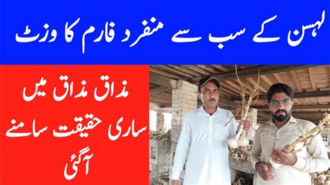 G1 Garlic Farming in 2023 | Garlic Farm Tour in Pakistan | G1 Garlic Seed Price • - YouTube