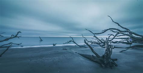 Boneyard Beach Photograph by Dan Vogel - Fine Art America