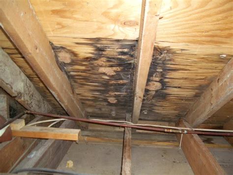 The Hidden Cost of a Roof Leak