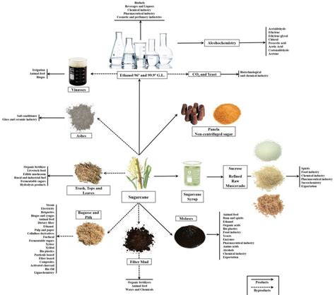 Sugarcane biorefinery based on cane, products and byproducts | Download Scientific Diagram