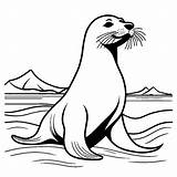 Curious seal coloring page Lulu Pages sketch template