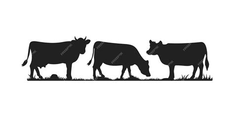 Premium Vector | Cows in different poses vector set. silhouettes of grass. cow grazing on meadow.