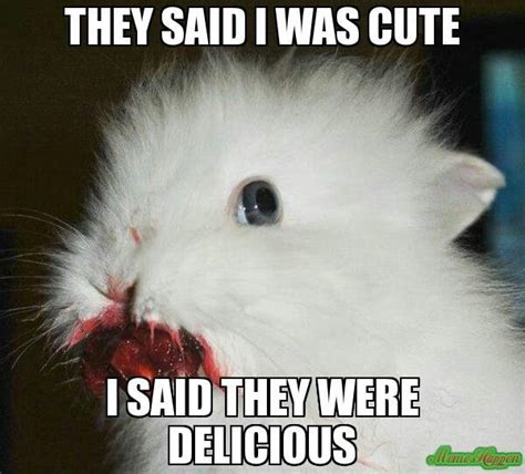 Pin by Ashley Carttar on So funny... | Bunny meme, Happy easter funny, Animal memes