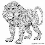 Baboon Coloring Pages  Free & Printable sketch template