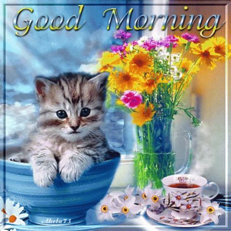 Good Morning Kitten GIF - GoodMorning Kitten Tea - Discover & Share GIFs