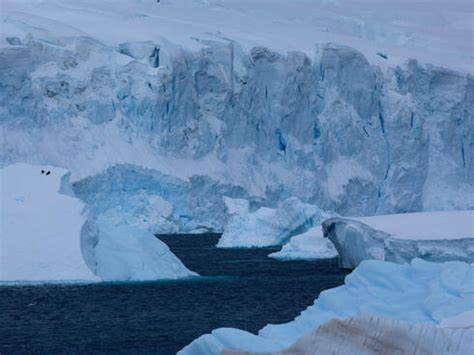 Why are glaciers and sea ice melting? | Pages | WWF