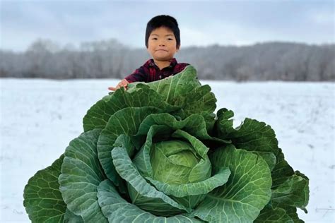 This Family-Owned Seed Company Is Telling—and Saving—the Stories of Heirloom Seeds