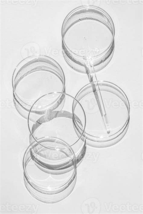 Petri dish. A set of Petri cups. On a white background. Laboratory half ...