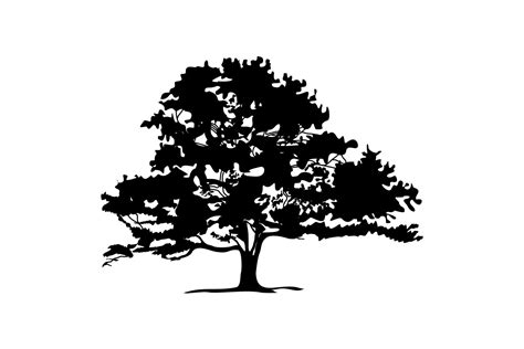 Oak Tree Outline Image