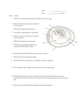 Zoology II (Vertebrate: Phylum Chordate) Reptiles The Complete Lesson Bundle