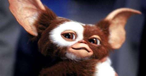 Gremlins: Secrets of the Mogwai: Plot, Cast, and Everything Else We Know